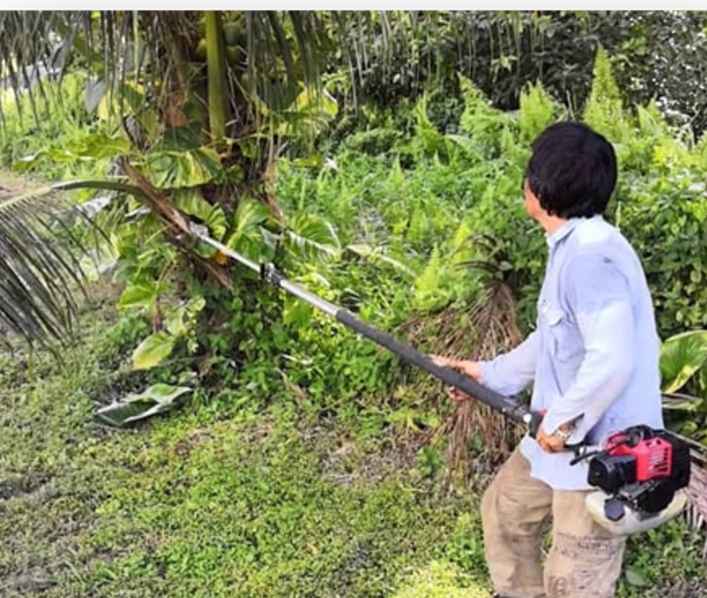 Dead Frond Clearing Tool 01 - Craun Research Sarawak