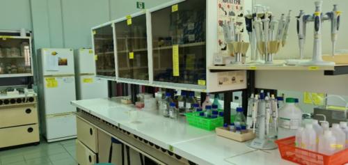 Biotech Lab 05